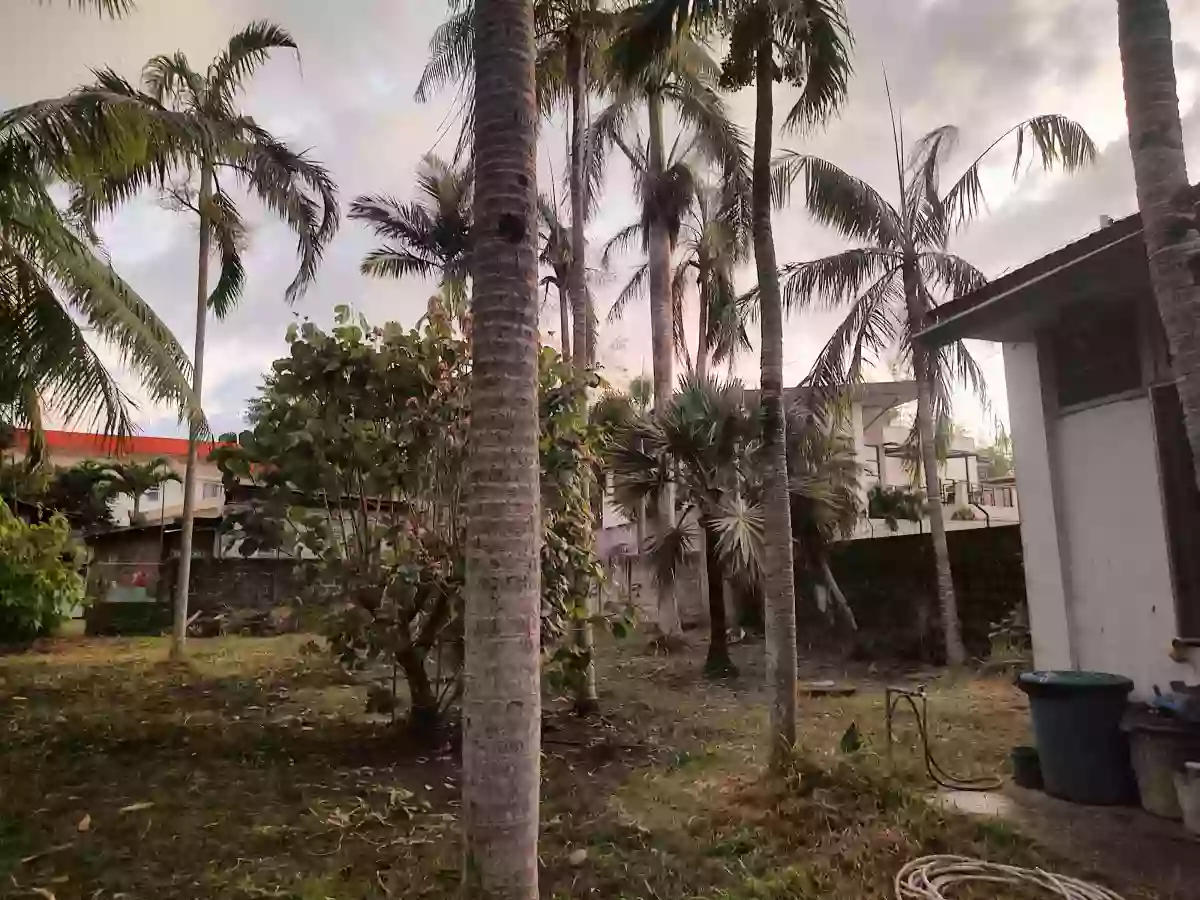 Huge 1,050 sqm Lot in Villa Arevalo – Prime Investment! — Residential Lot in Osmeña Street, Arevalo, Iloilo City — Photo 6