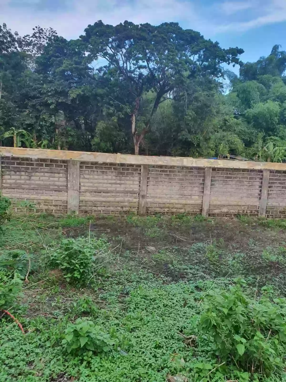 RESIDENTIAL LOT 121(sqm.) FOR SALE IN CEBU CITY — Residential Lot in Cebu City, Cebu, Philippines — Photo 6