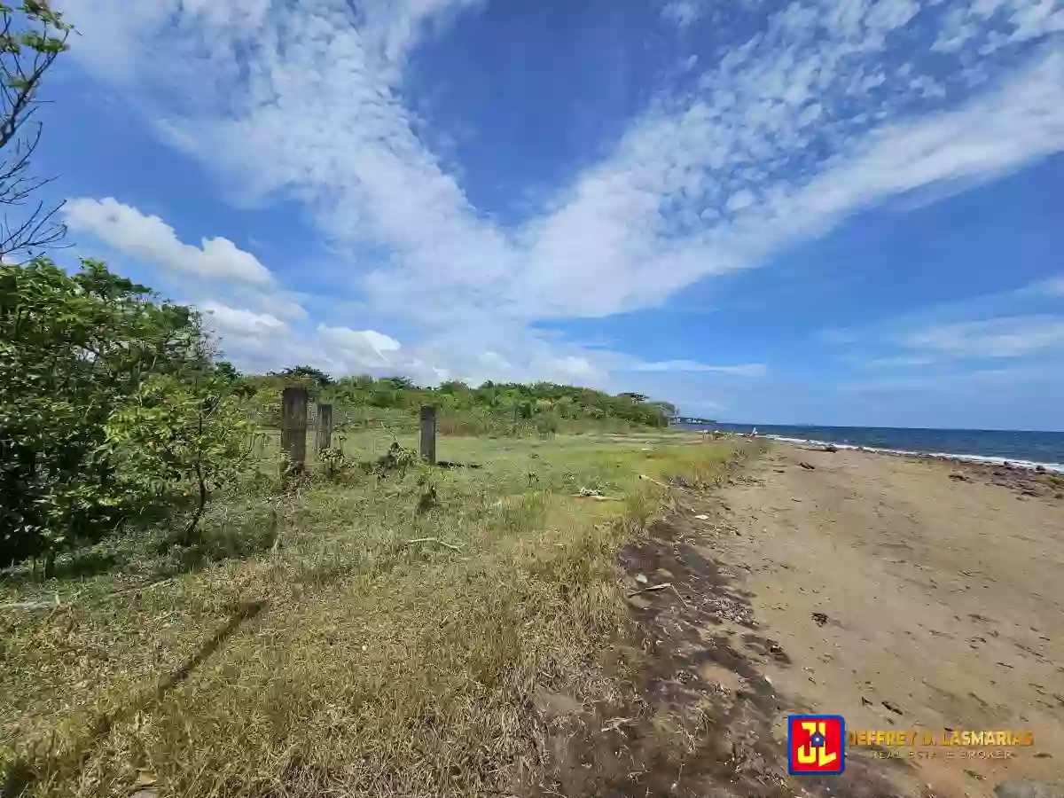 Rush Sale 40,419sqm Beach Lot in Bulak, Dauin [available] — Beach Lot in Dauin, Negros Oriental, Philippines — Photo 2