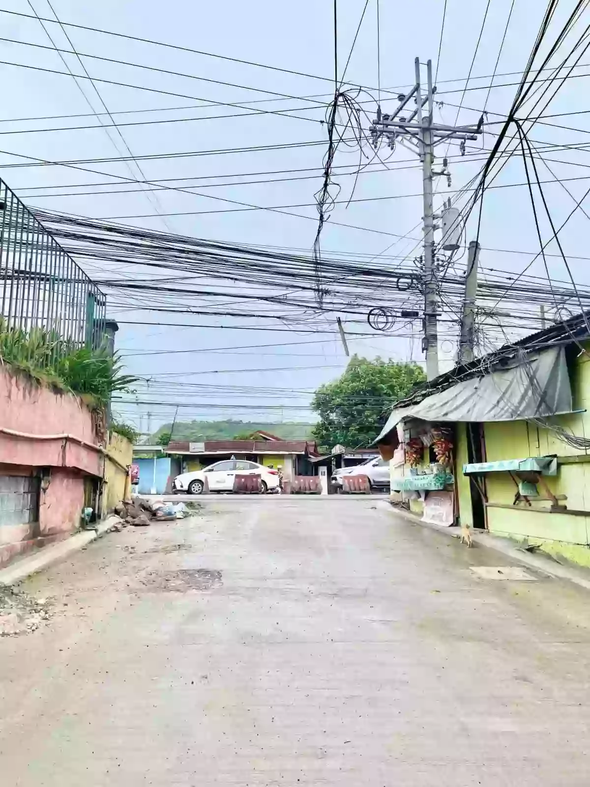 INCOME GENERATING PROPERTY - CEBU CITY | BESIDE UNIVERSITY CEBU — House and Lot in Cebu City, Cebu, Philippines — Photo 4