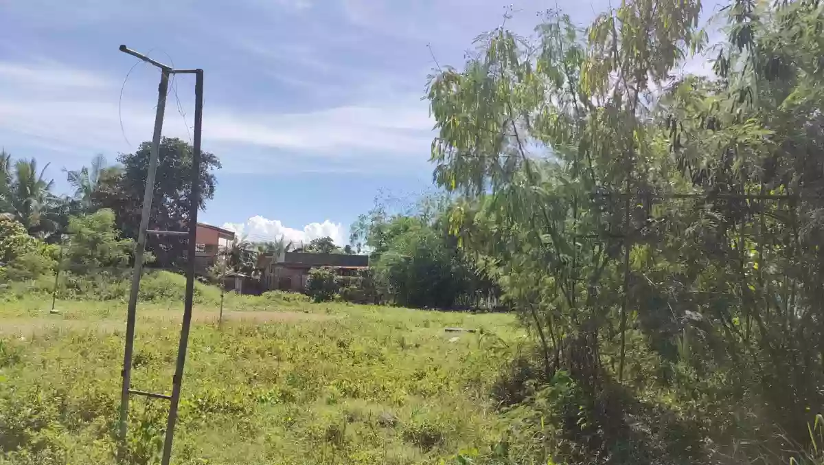 LOT FOR SALE in Mohon Talisay City, Cebu! — Residential Lot in Talisay, Cebu, Philippines — Photo 4