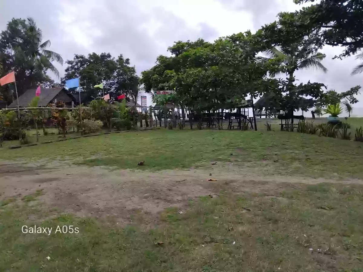 Beach Resort For Sale (Sipalay) — Beach Lot in Sipalay City, Negros Occidental, Philippines — Photo 2