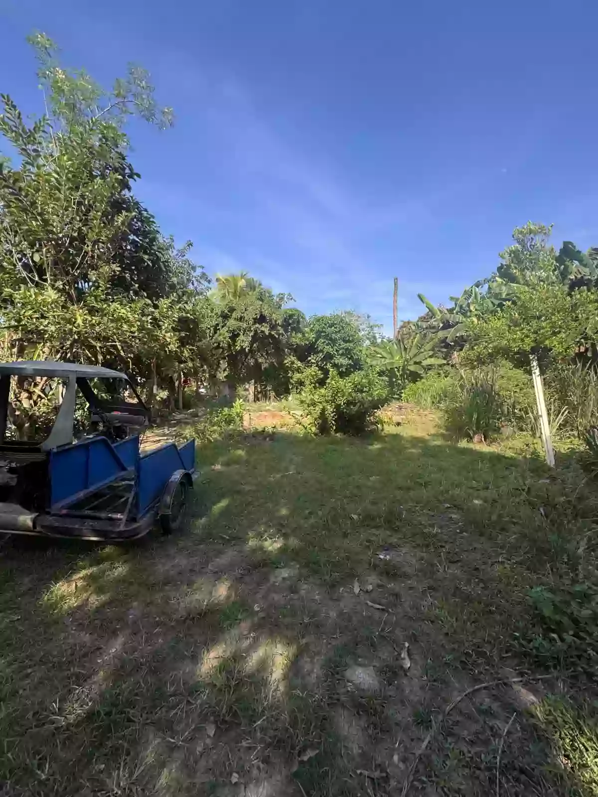 Prime location in Puerto Princesa City Palawan — Residential Lot in Valledor Street, F. Ponce de Leon Road, Puerto Princesa City — Photo 3