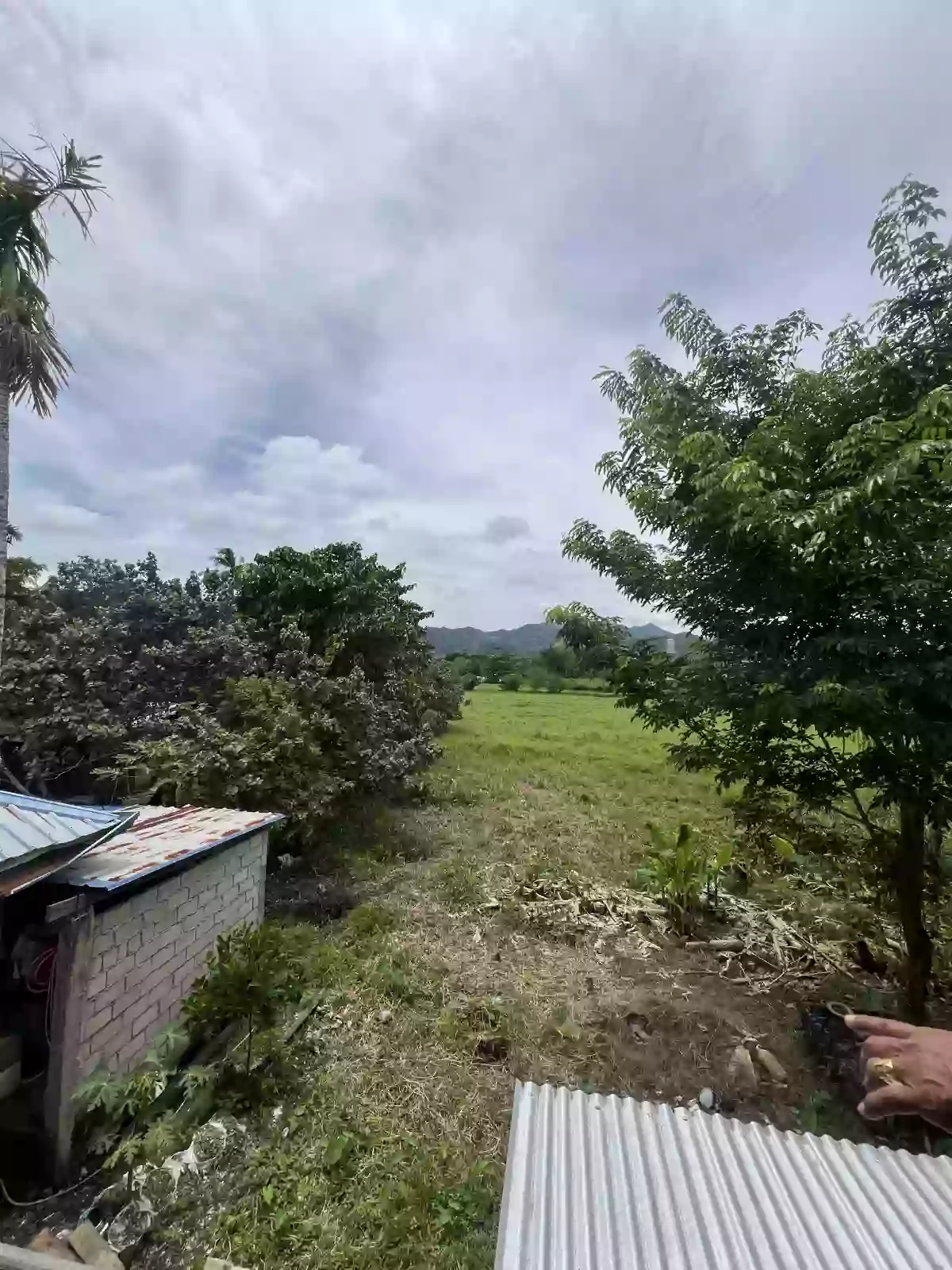 Residential — Residential Lot in Mainit, Surigao del Norte, Philippines — Photo 3