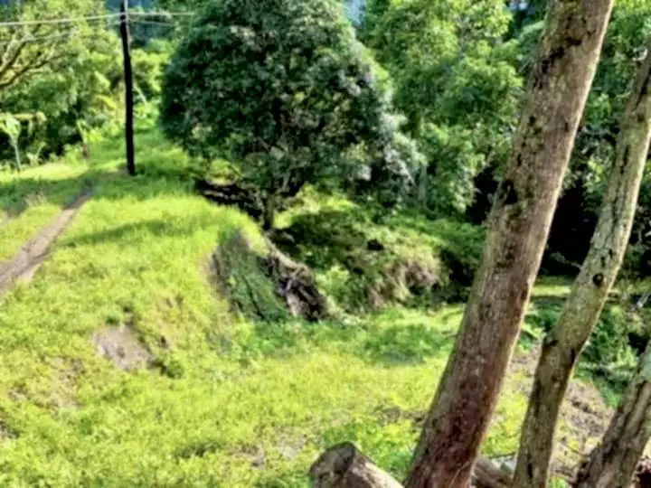 FUTURE SANCTUARY IN PULANGBATO CEBU CITY — Agricultural Lot in Cebu City, Cebu, Philippines — Photo 7