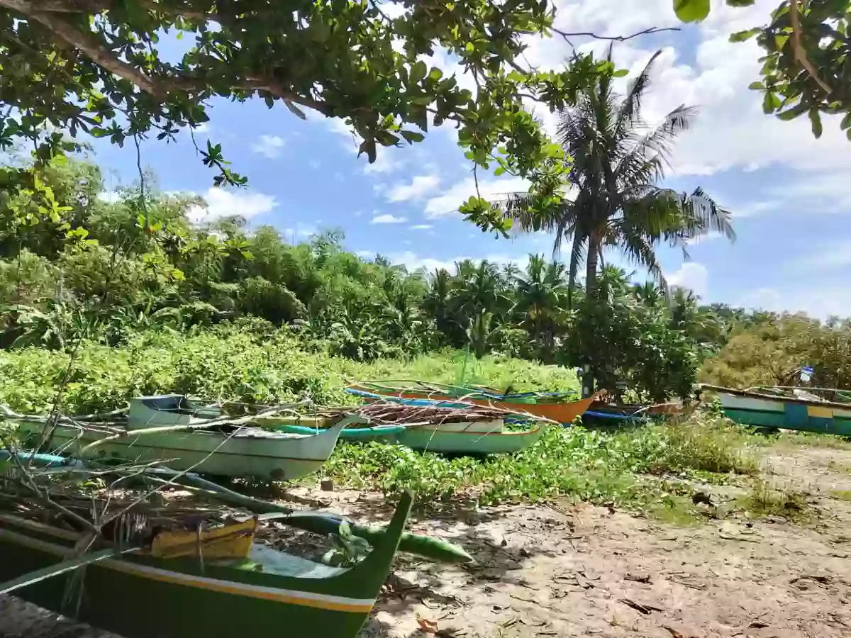 Beach Lot in Dumanjug — Beach Lot in Philippines — Photo 3