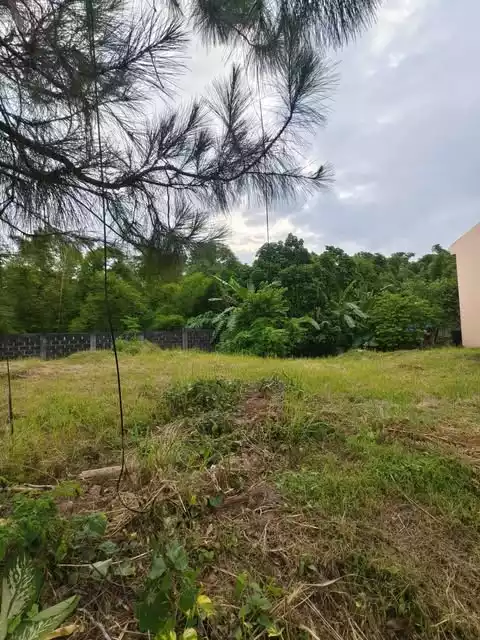 Residential Lot at Camella Heights Naga- Rush For Sale — Residential Lot in Naga City, Camarines Sur, Philippines — Photo 2