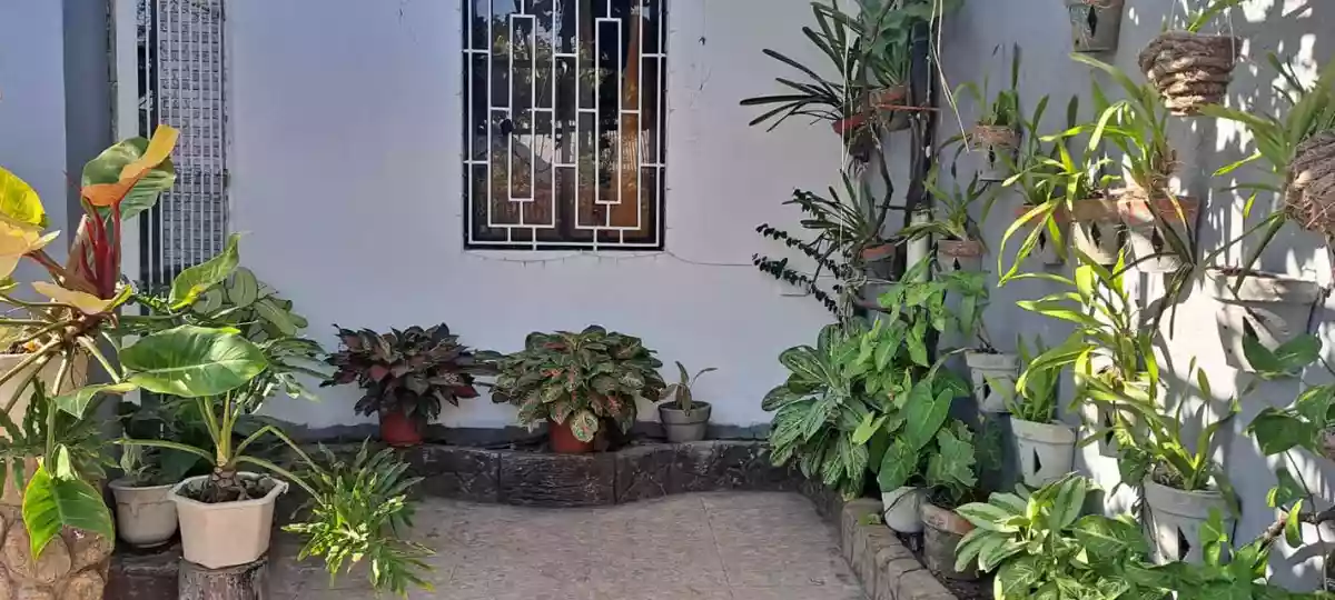 House and Lot — House and Lot in Bacolod, Negros Occidental, Philippines — Photo 3