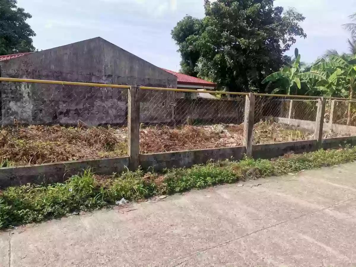 Corner Lot for sale in PNB Subdivision Dipolog City — Residential Lot in Dipolog City, Zamboanga del Norte, Philippines — Photo 2