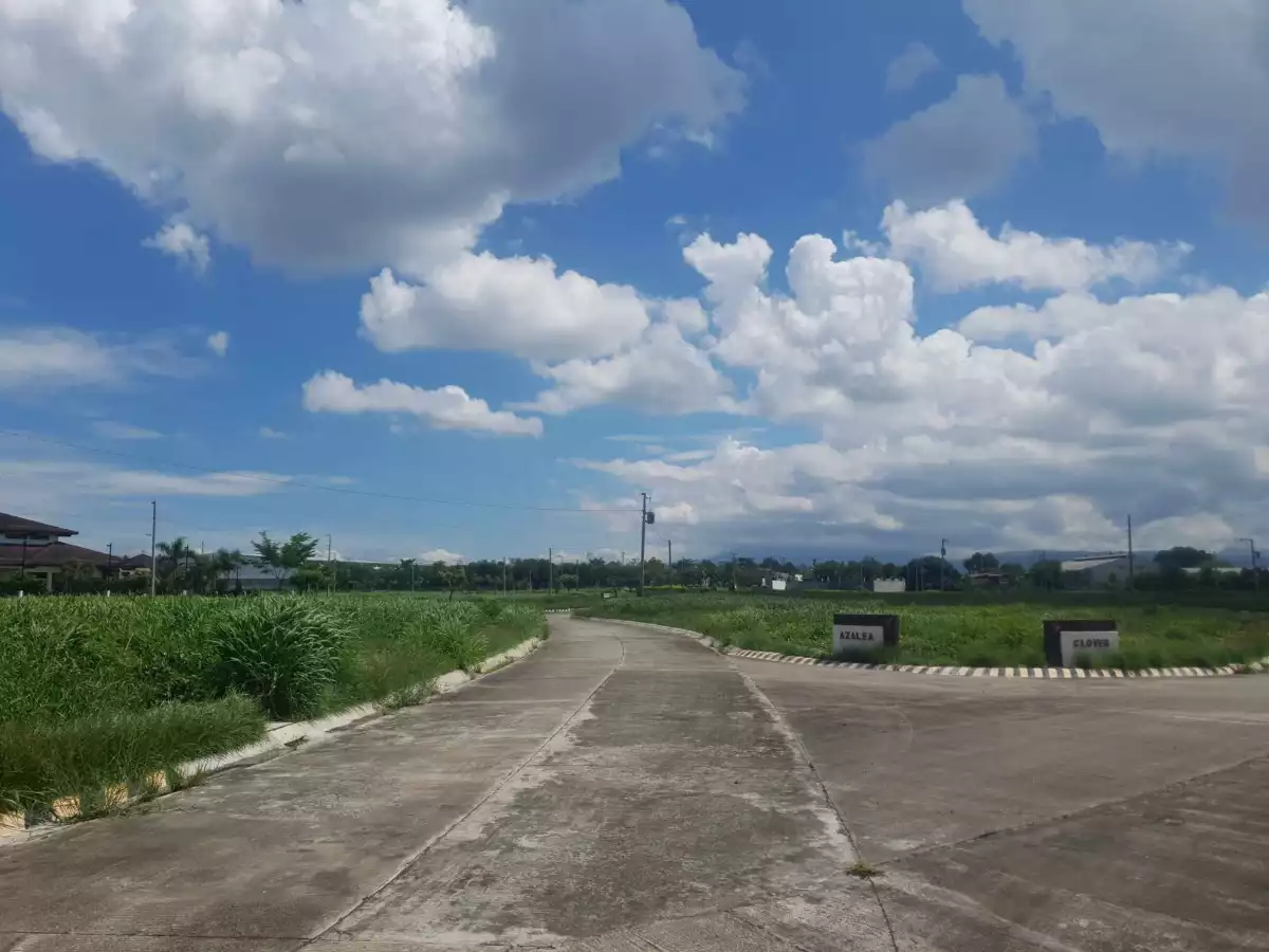 Robinsons Land Bloomfields General Santos — Residential Lot in General Santos City, South Cotabato, Philippines — Photo 7