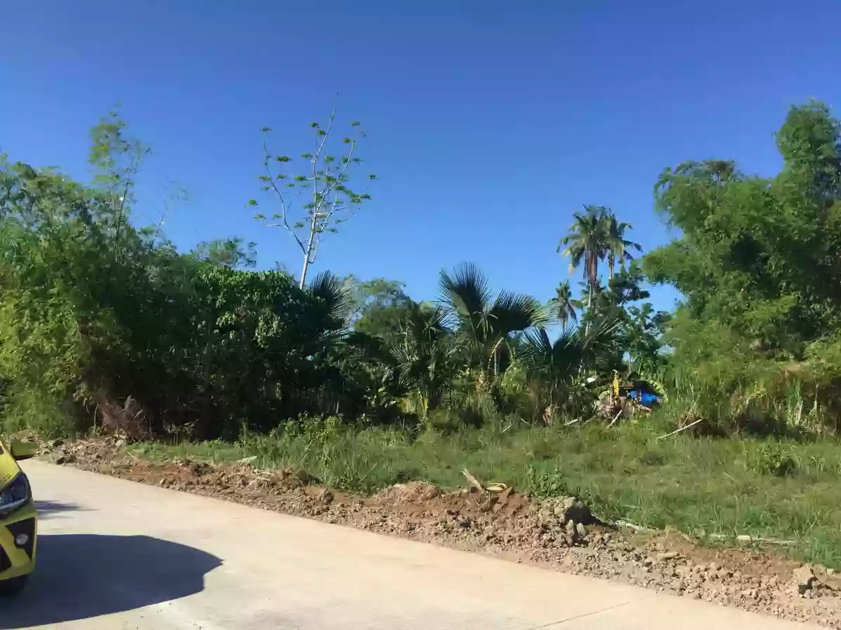 Residential Lot For Sale — Residential Lot in Philippines — Photo 3
