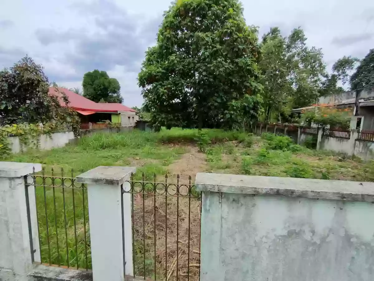 Lot for Sale in Batinguel, Dumaguete City, Negros Oriental — Residential Lot in Dumaguete, Negros Oriental, Philippines — Photo 5