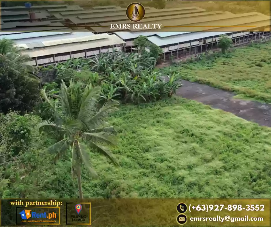 FOR SALE! 1 HECTARE FLAT FARM LOT IN AMADEO, CAVITE near Tagaytay — Agricultural Lot in Amadeo-Indang Road, Amadeo, Cavite — Photo 5