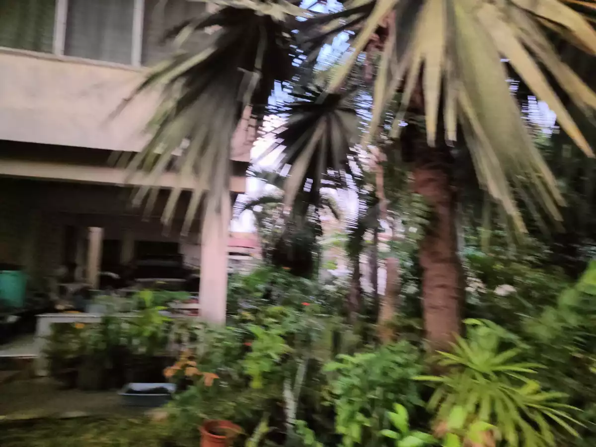 Huge 1,050 sqm Lot in Villa Arevalo – Prime Investment! — Residential Lot in Osmeña Street, Arevalo, Iloilo City — Photo 4