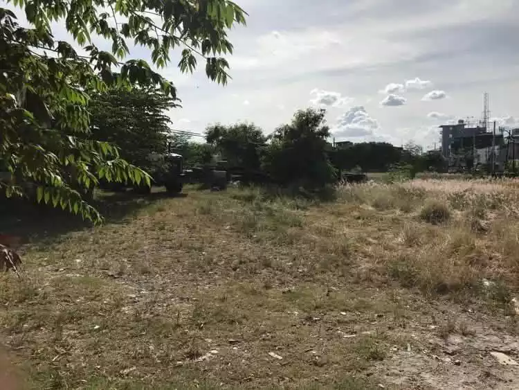 Commercial Lot for sale  (Taguig, Manila) — Agricultural Lot in Taguig, Metro Manila, Philippines — Photo 3