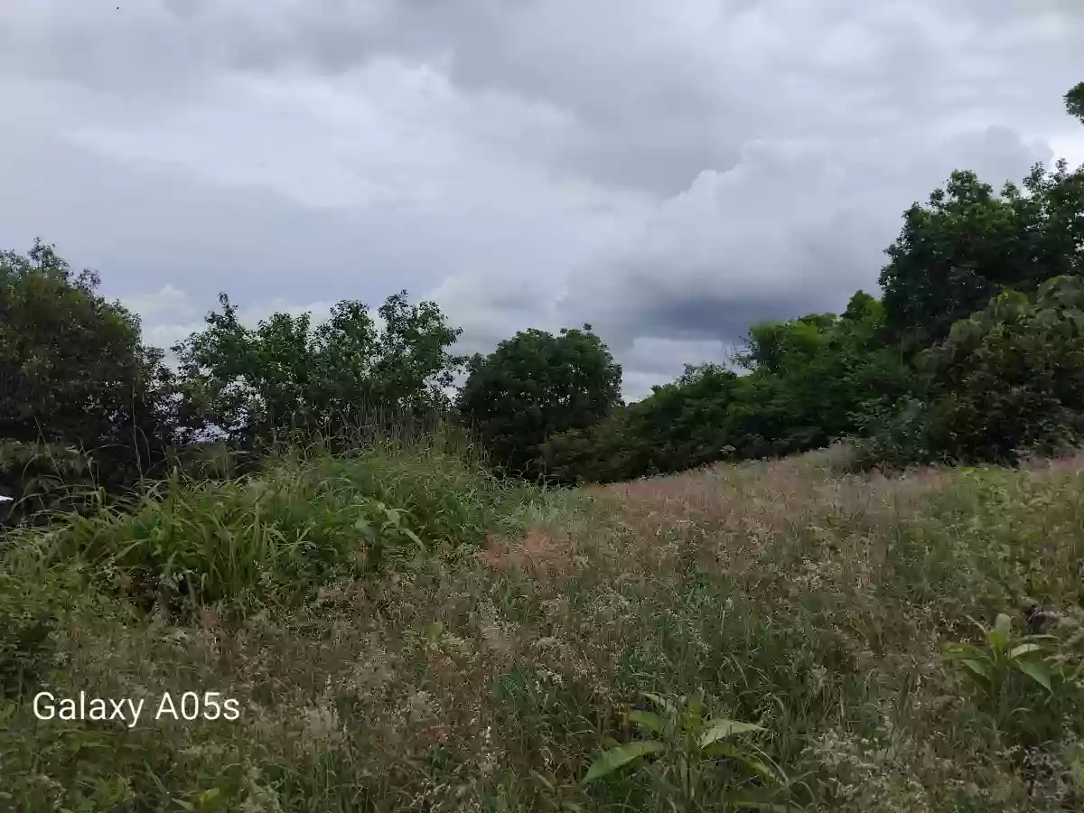 Land For Sale — Agricultural Lot in Guimaras, Philippines — Photo 4