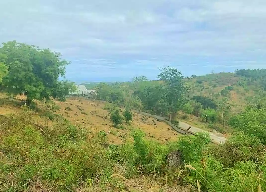 Clean Title Lot For Sale in Maningcao,Sibulan,Negros Oriental — Residential Lot in Negros Oriental, Philippines — Photo 3