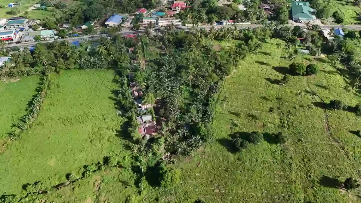 LOT 3-B — Agricultural Lot in Governor Jose T. Fuentebella National Highway, Tigaon, Camarines Sur — Photo 3
