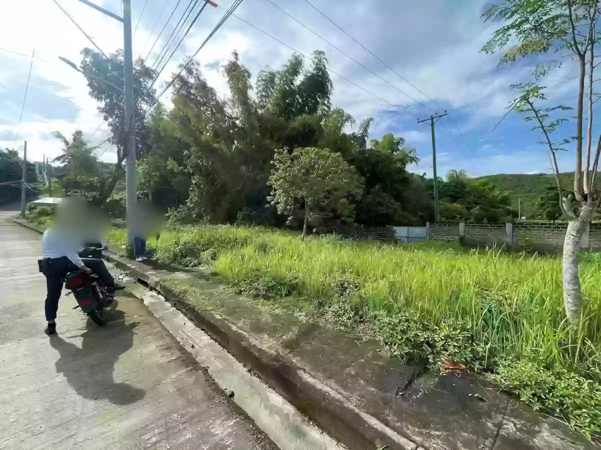 ROYALE CEBU ESTATES - LOT ONLY — Residential Lot in Consolacion, Cebu, Philippines — Photo 3