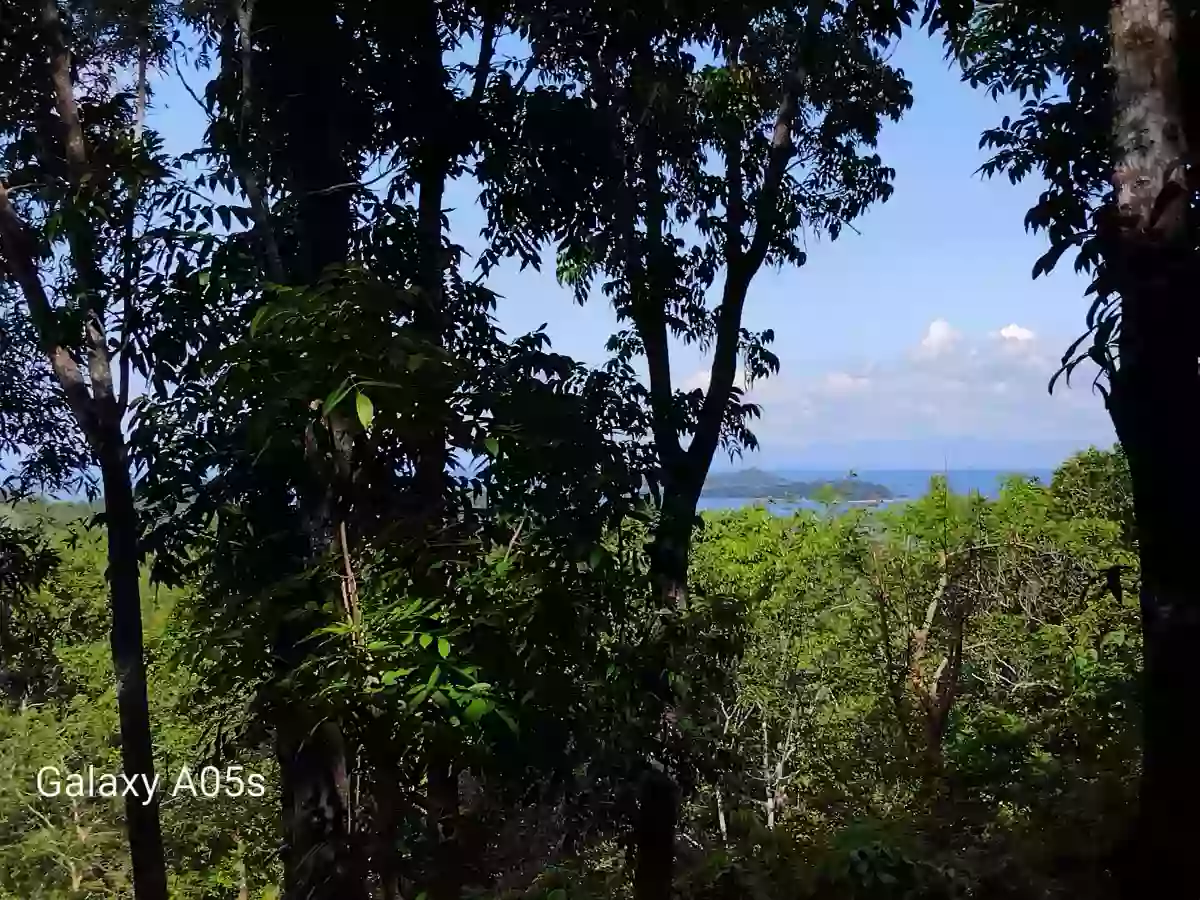 Land for Sale (10Hectares) — Agricultural Lot in Guimaras, Philippines — Photo 2