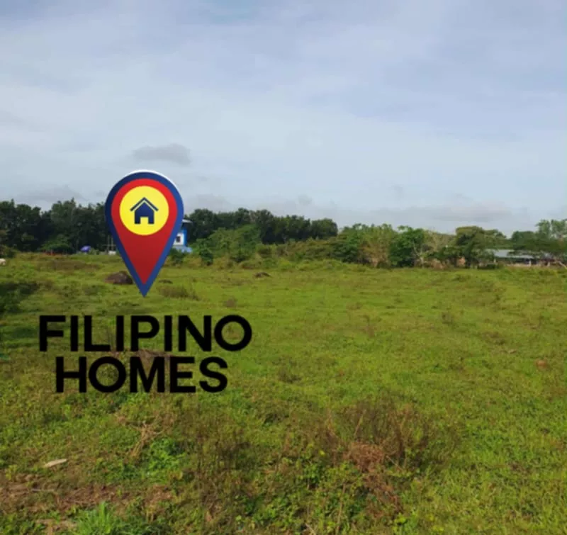 1000sqm RESIDENTIAL LOT FOR SALE — Residential Lot in Naga City, Camarines Sur, Philippines — Photo 7