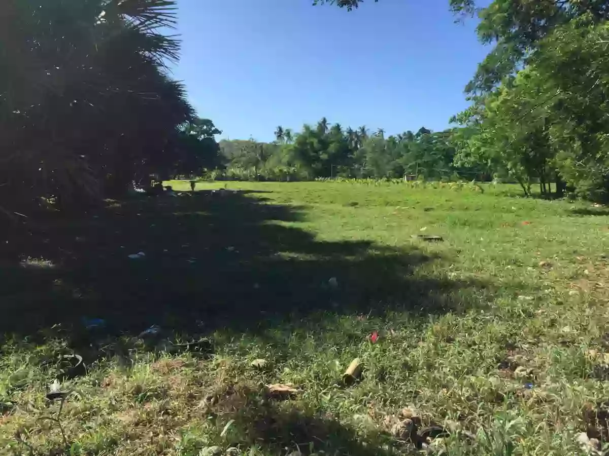 LOT FOR SALE — Residential Lot in Philippines — Photo 4