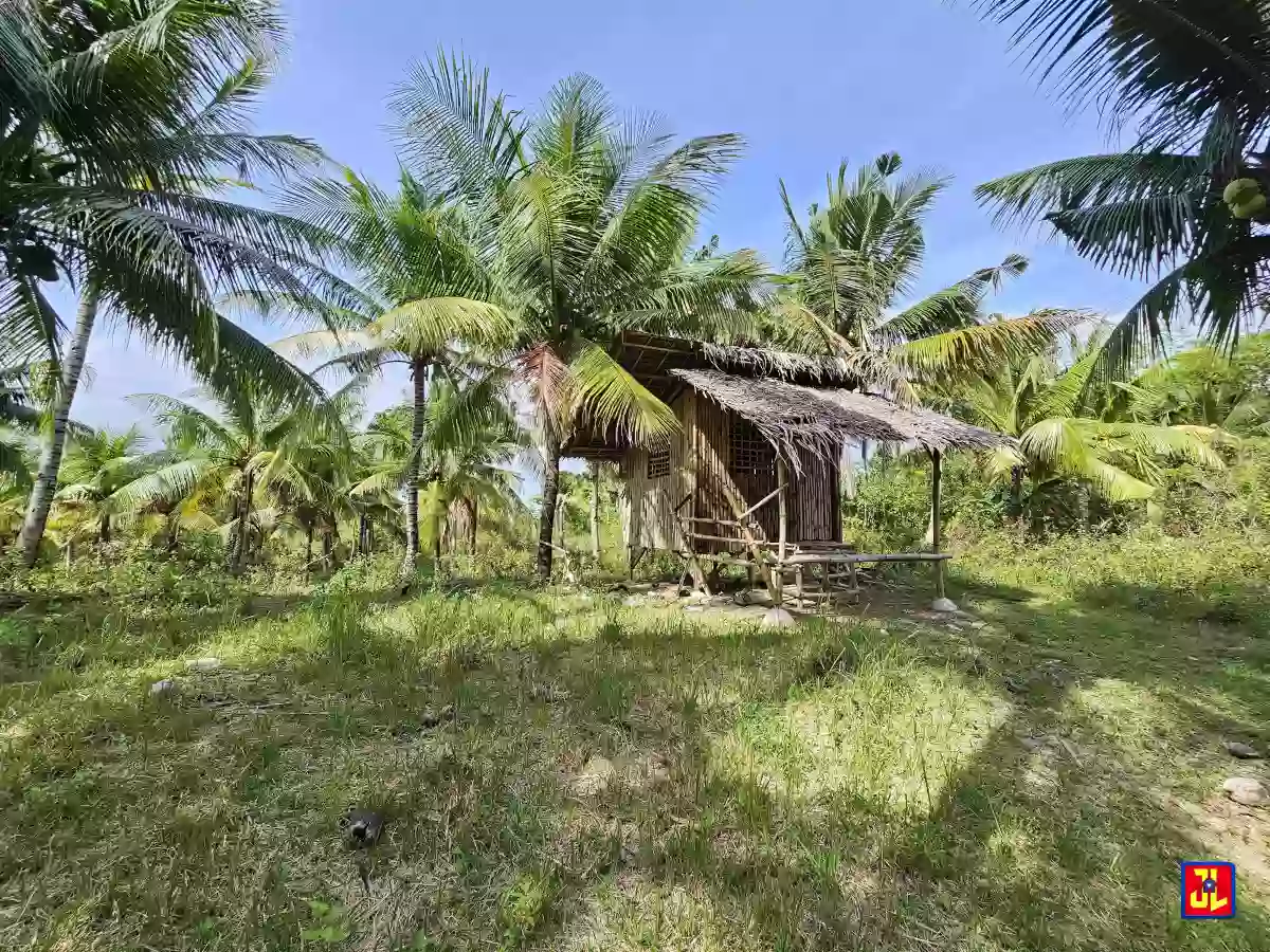 For Sale 3,666sqm Farm Lot in Calo, San Jose, Negros Oriental [available] — Agricultural Lot in San Jose, Negros Oriental, Philippines — Photo 3