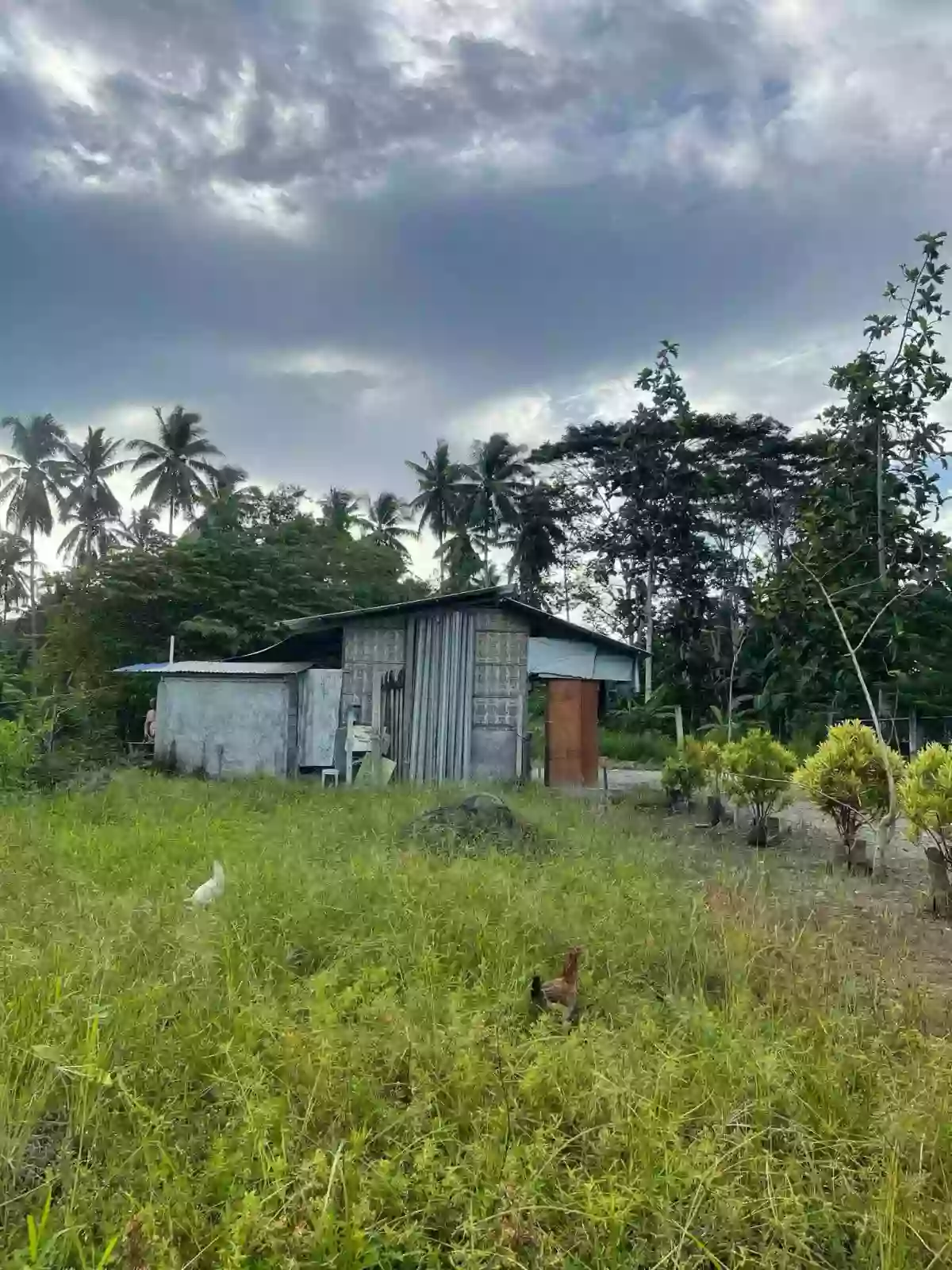 LOT FOR SALE AT TAGUM CITY — Residential Lot in Tagum, Davao del Norte, Philippines — Photo 5