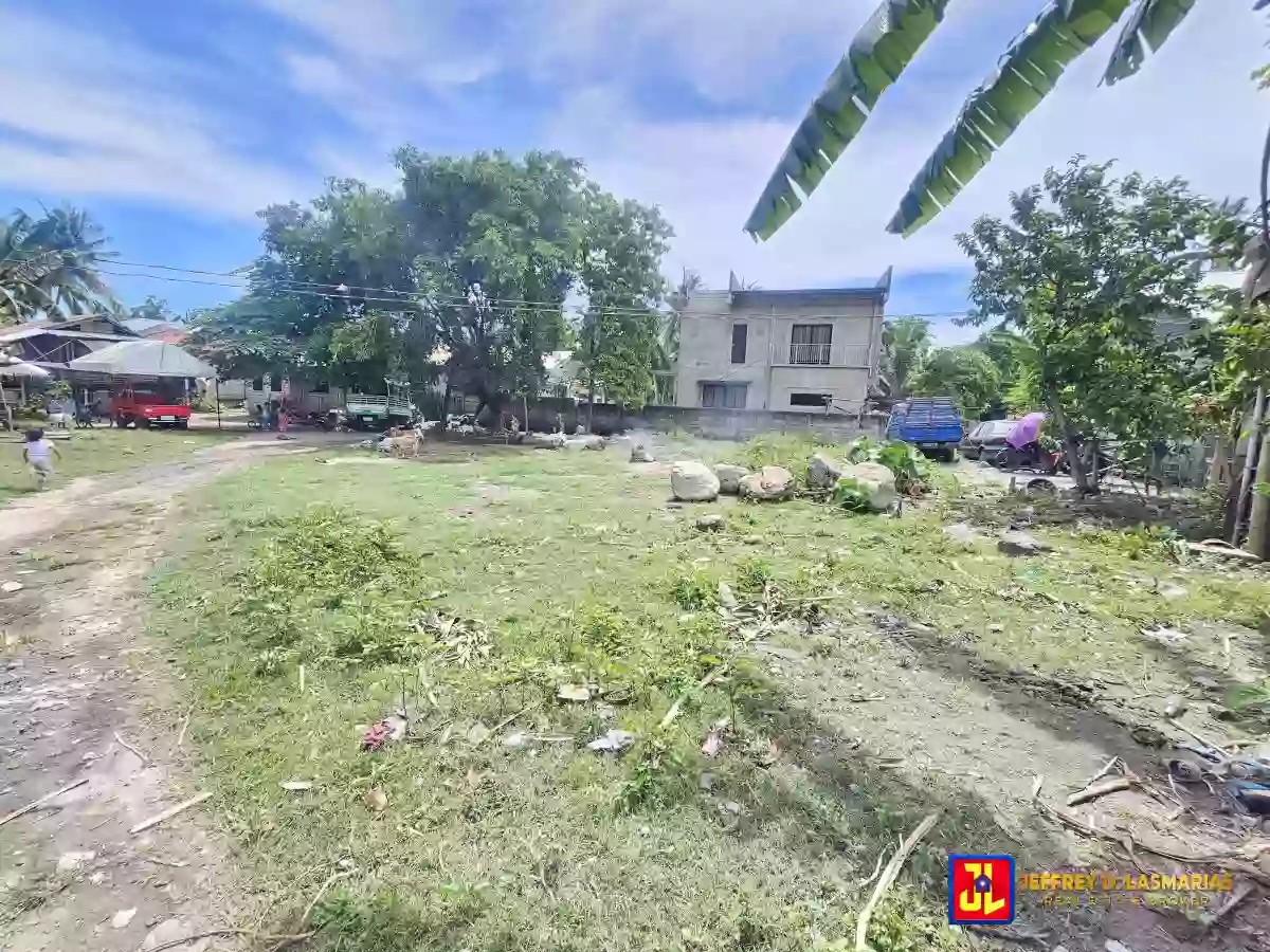 Rush Sale! 772sqm Lot in Combado, Bacong [available] — Residential Lot in Bacong, Negros Oriental, Philippines — Photo 3