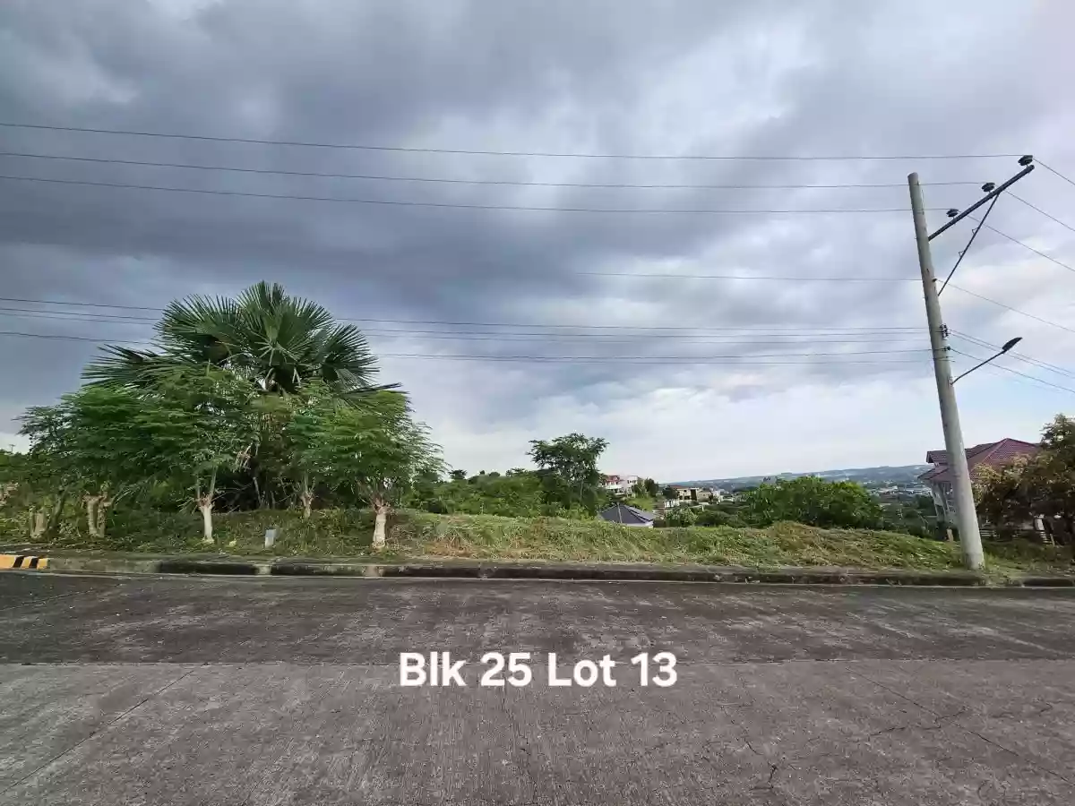 ROYALE Cebu Estate in Casili Consolacion Cebu-For as low as P30,000 per sqm. — Residential Lot in Consolacion, Cebu, Philippines — Photo 5