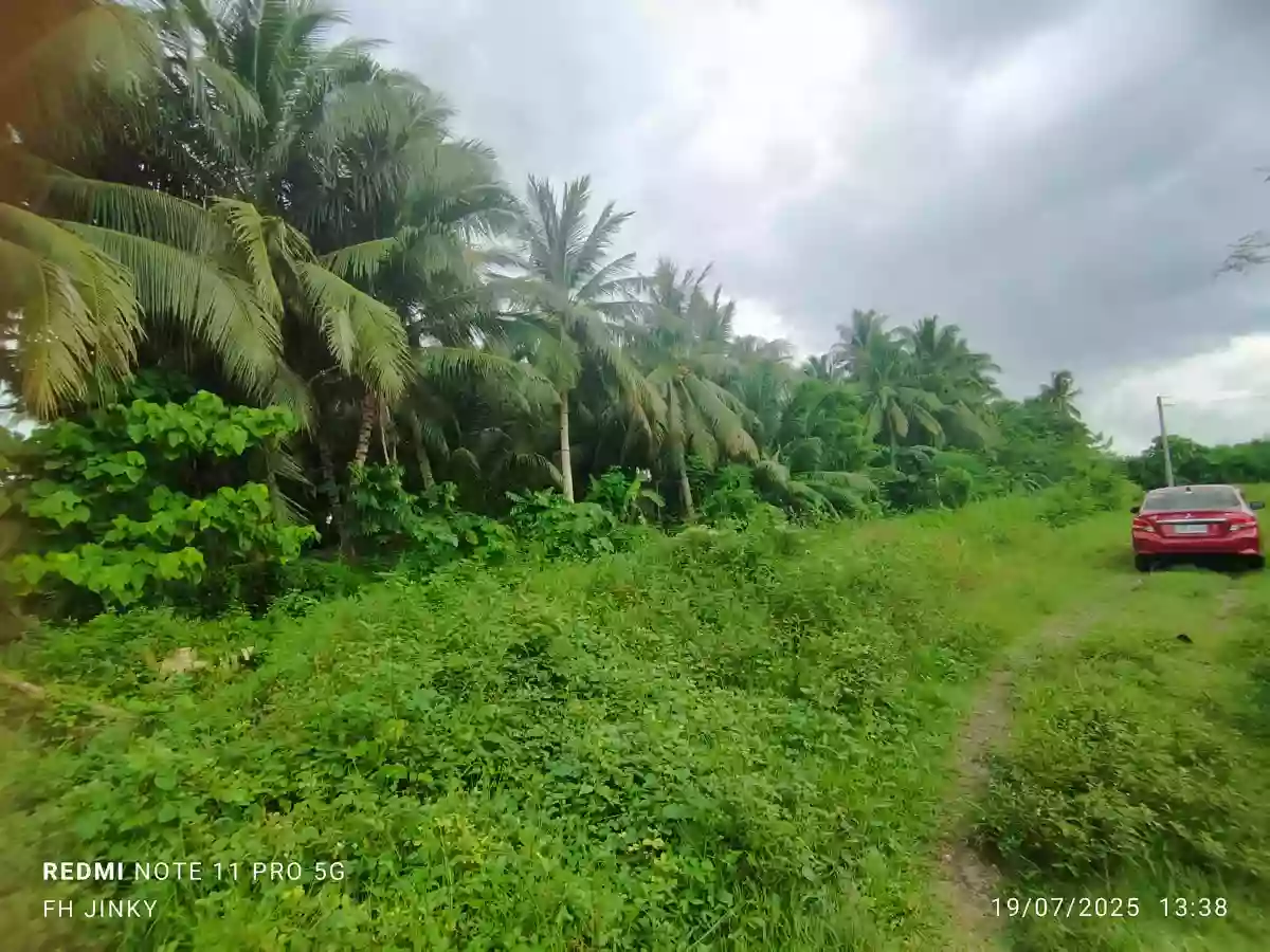 Lot For Sale at Barangay Ligaya — Residential Lot in General Santos City (Dadiangas), South Cotabato, Philippines — Photo 3