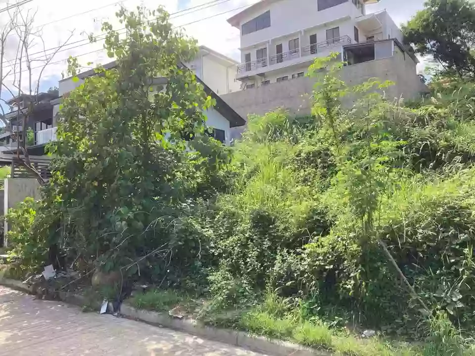 For Sale 311 square meters Prime Residential Lot in XE Phase 2B