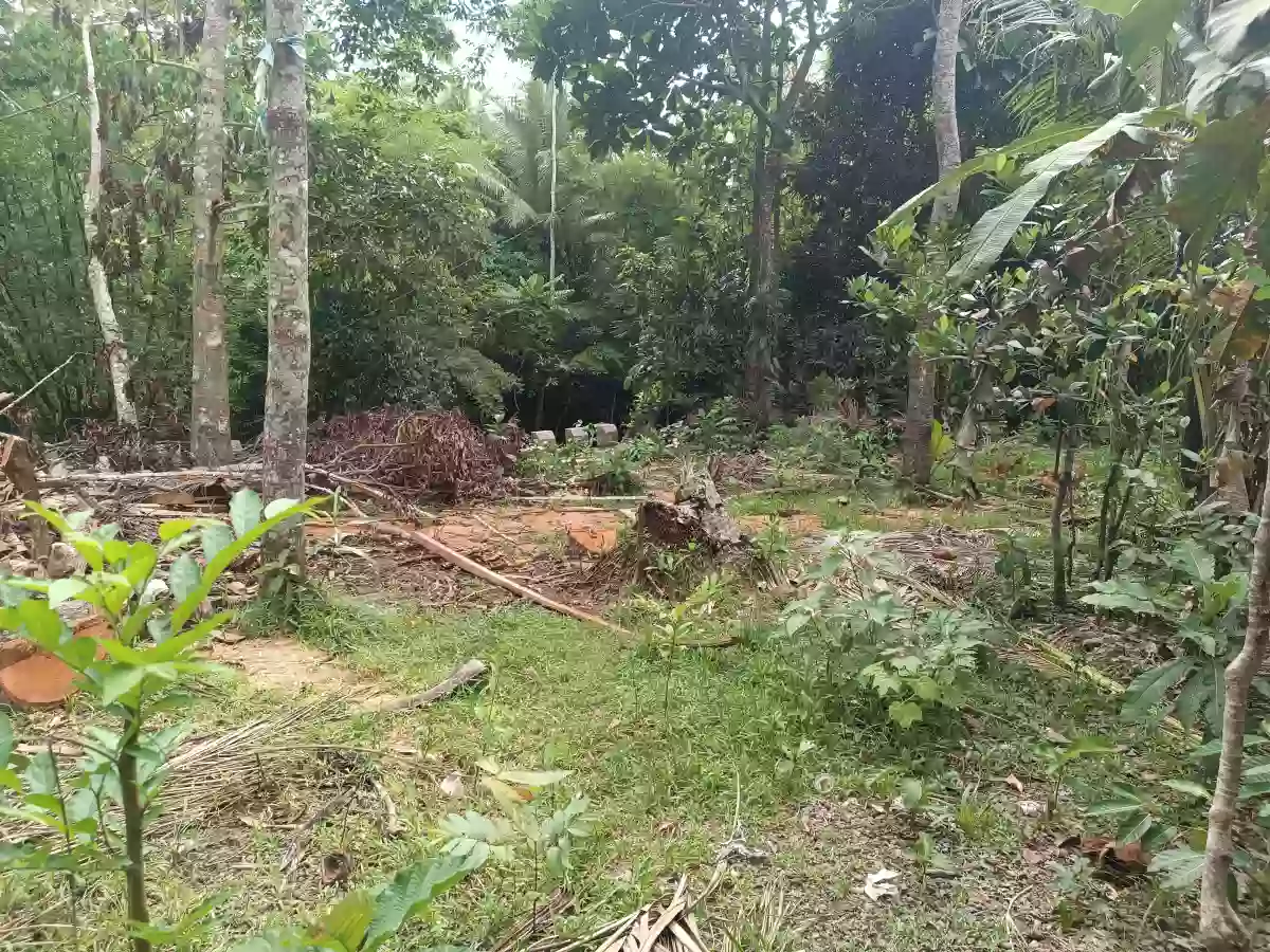 Residential Lot For Sale 607sq.m located in Ilosong Plaridel Quezon, Along Brgy. Road.