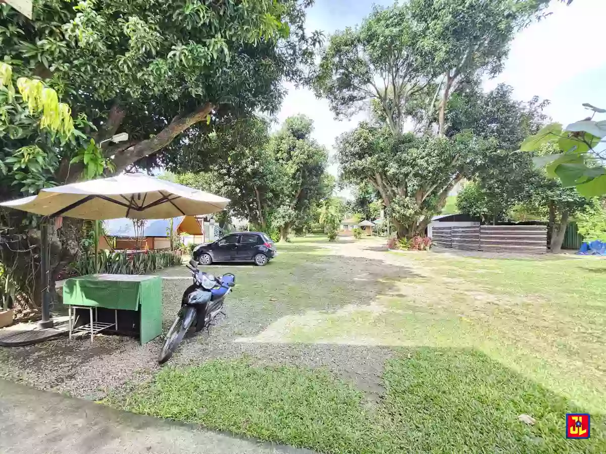 P38.5M Discount! From P77M to P38.5M! Amazing Beachfront Property in Zamboanguita [available] — Beach Lot in Zamboanguita, Negros Oriental, Philippines — Photo 4