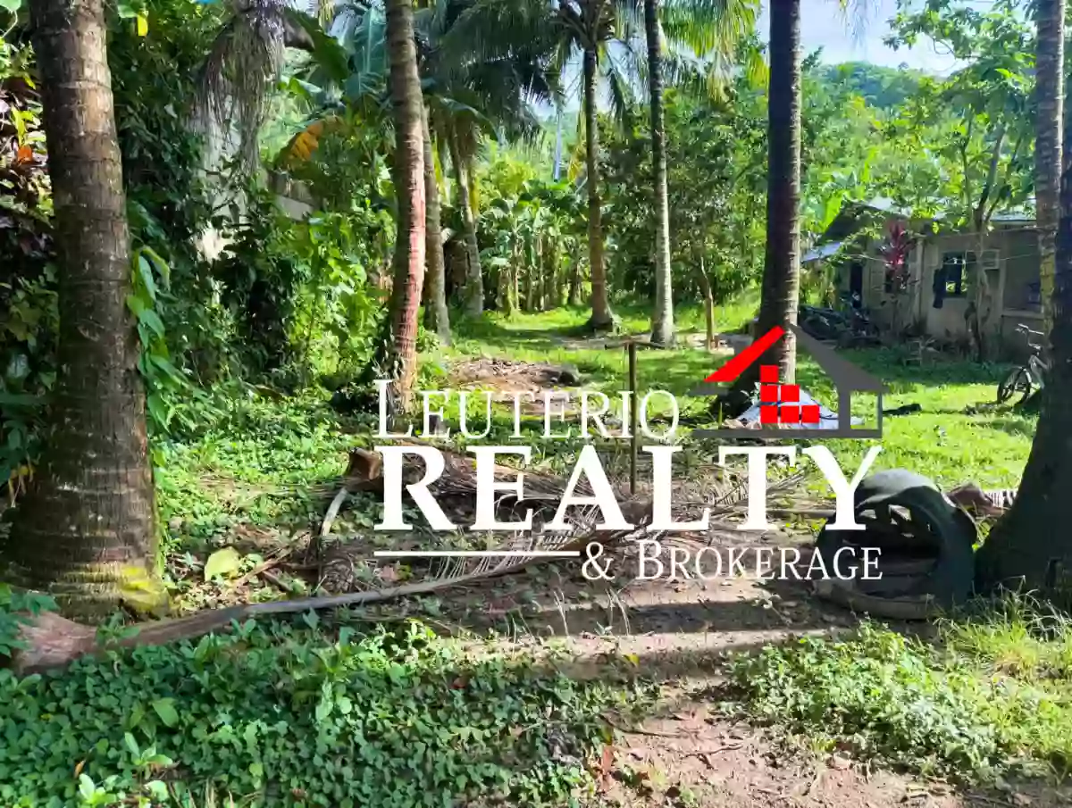 Rush Sale Residential lot in Tanauan Plaridel Quezon