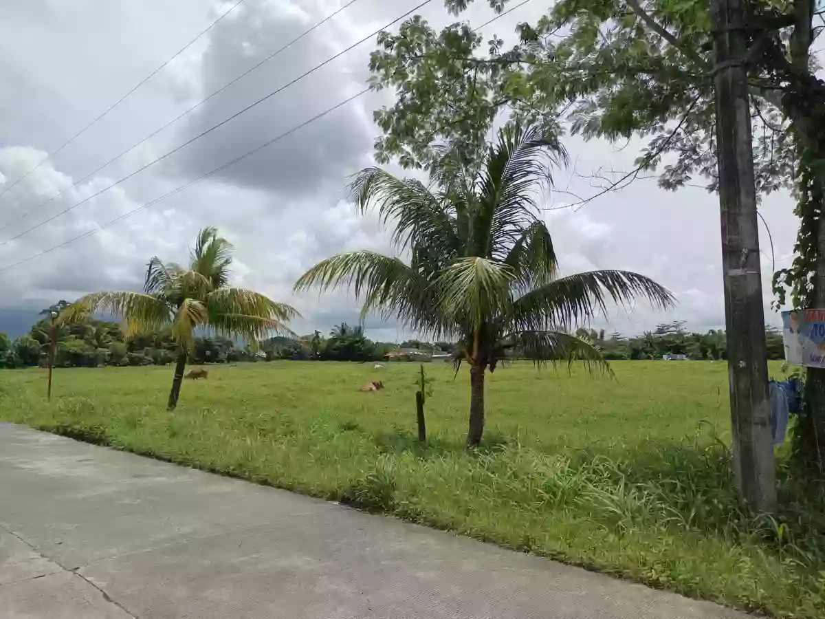 Residential Lot for Sale — Residential Lot in Pili, Camarines Sur, Philippines — Photo 3