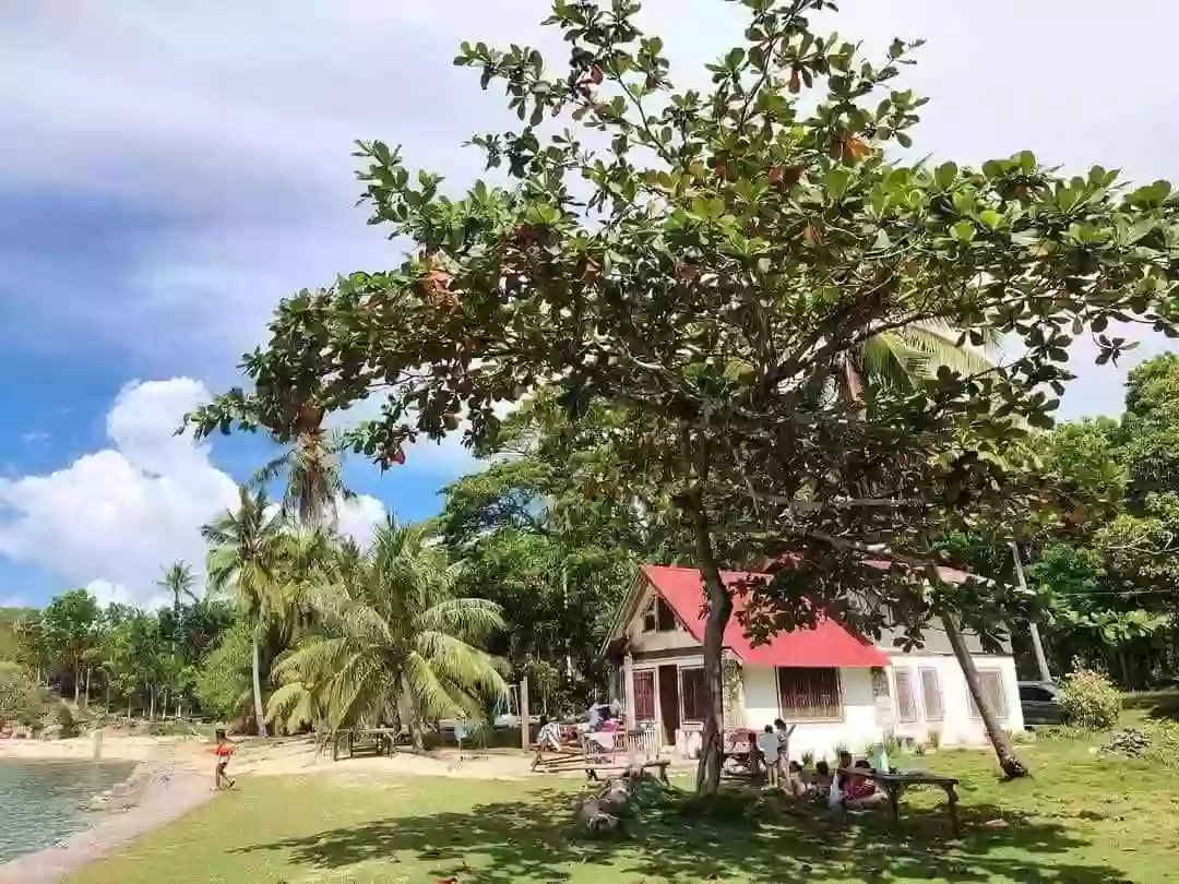12 Hectare with House  and White Sand