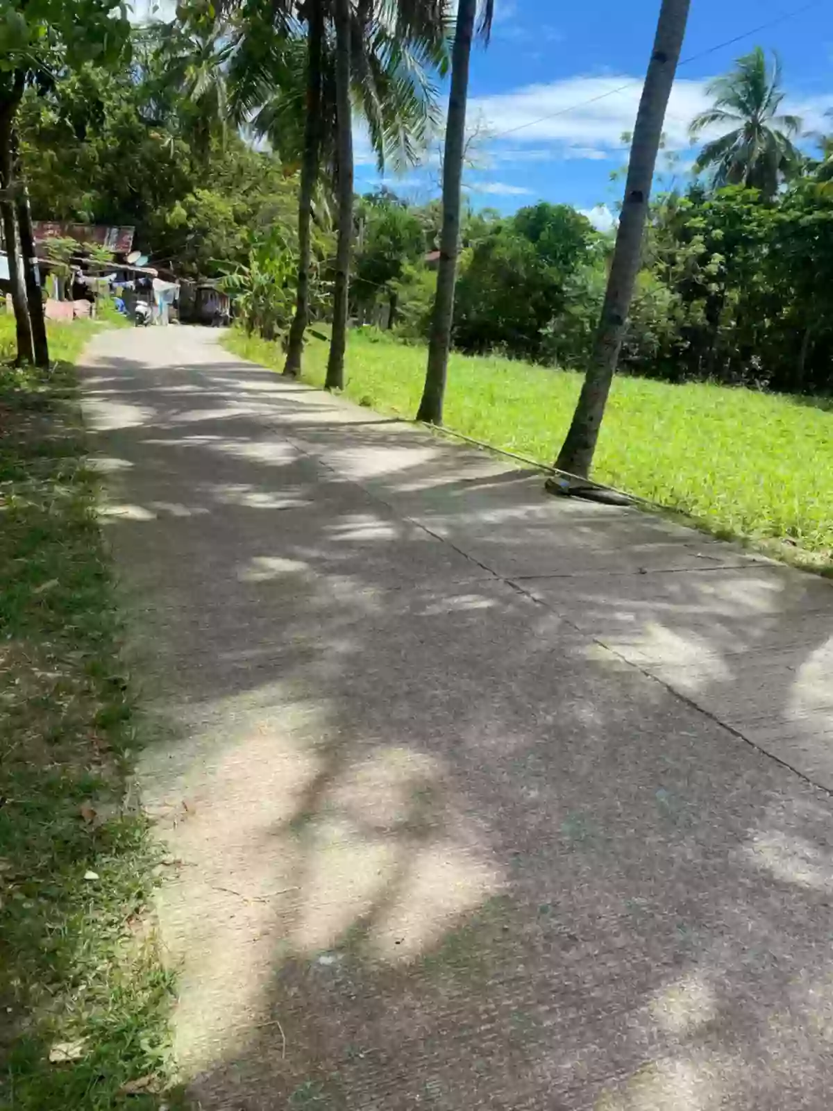 FARM LOT FOR SALE AT DANAO CITY CEBU — Agricultural Lot in Danao City, Cebu, Philippines — Photo 2
