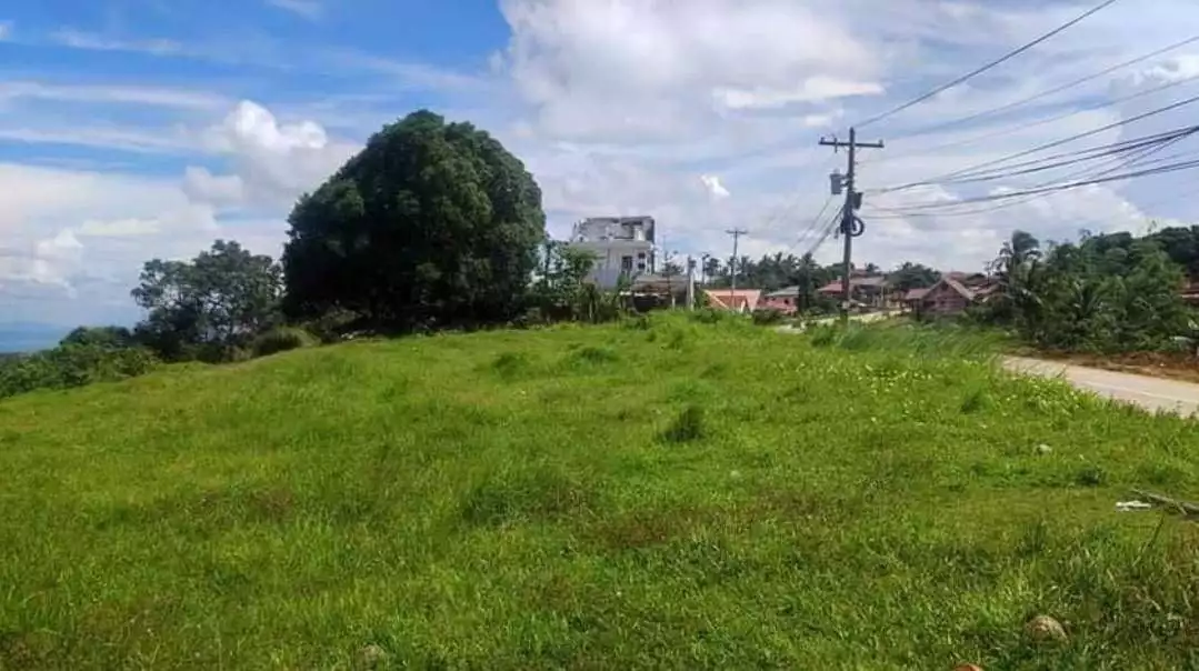 Strategic 2-Hectare Lot Along Diokno Highway, Lemery, Batangas — Agricultural Lot in Lemery, Batangas, 4209 — Photo 3