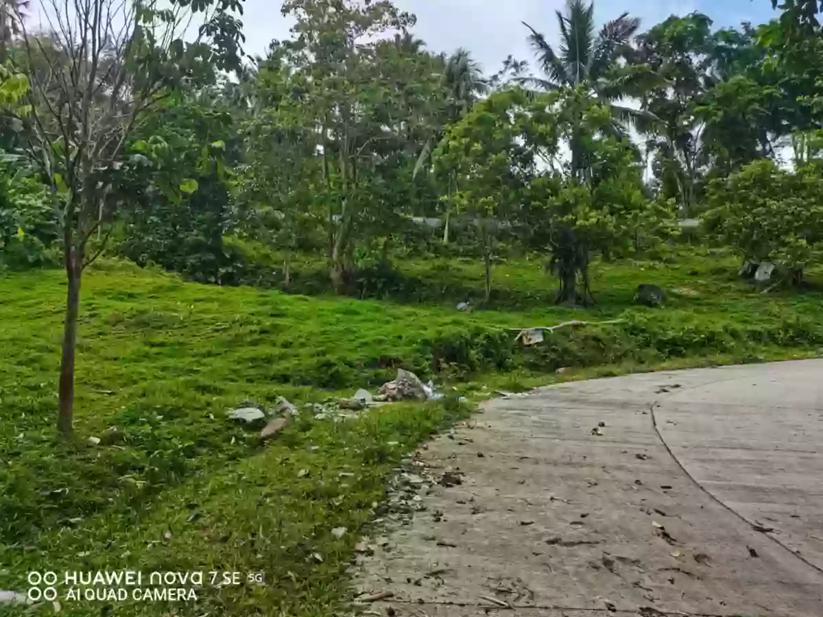 Lot for Sale in Sagbang, Valencia! — Agricultural Lot in Valencia, Negros Oriental, Philippines — Photo 3