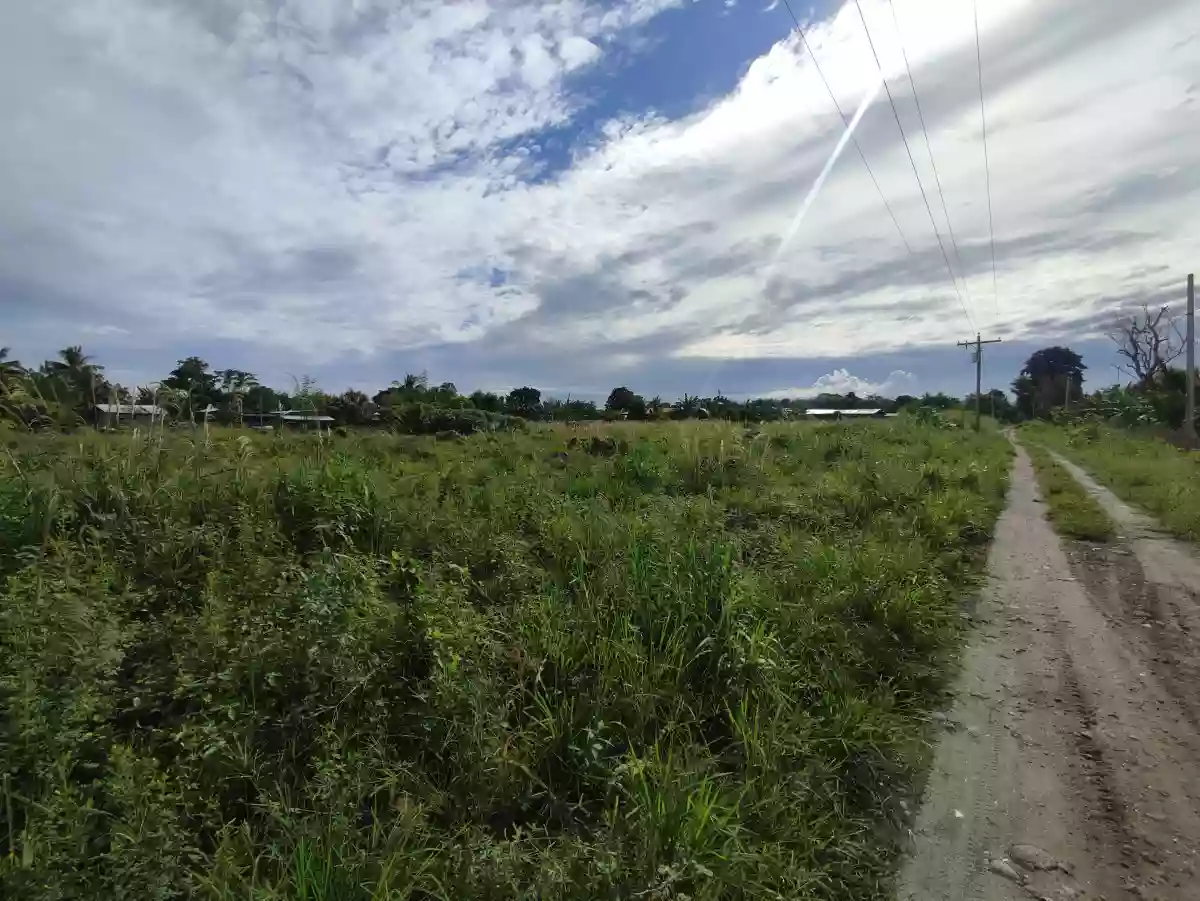 Lot for Sale — Agricultural Lot in General Santos City, South Cotabato, Philippines — Photo 3
