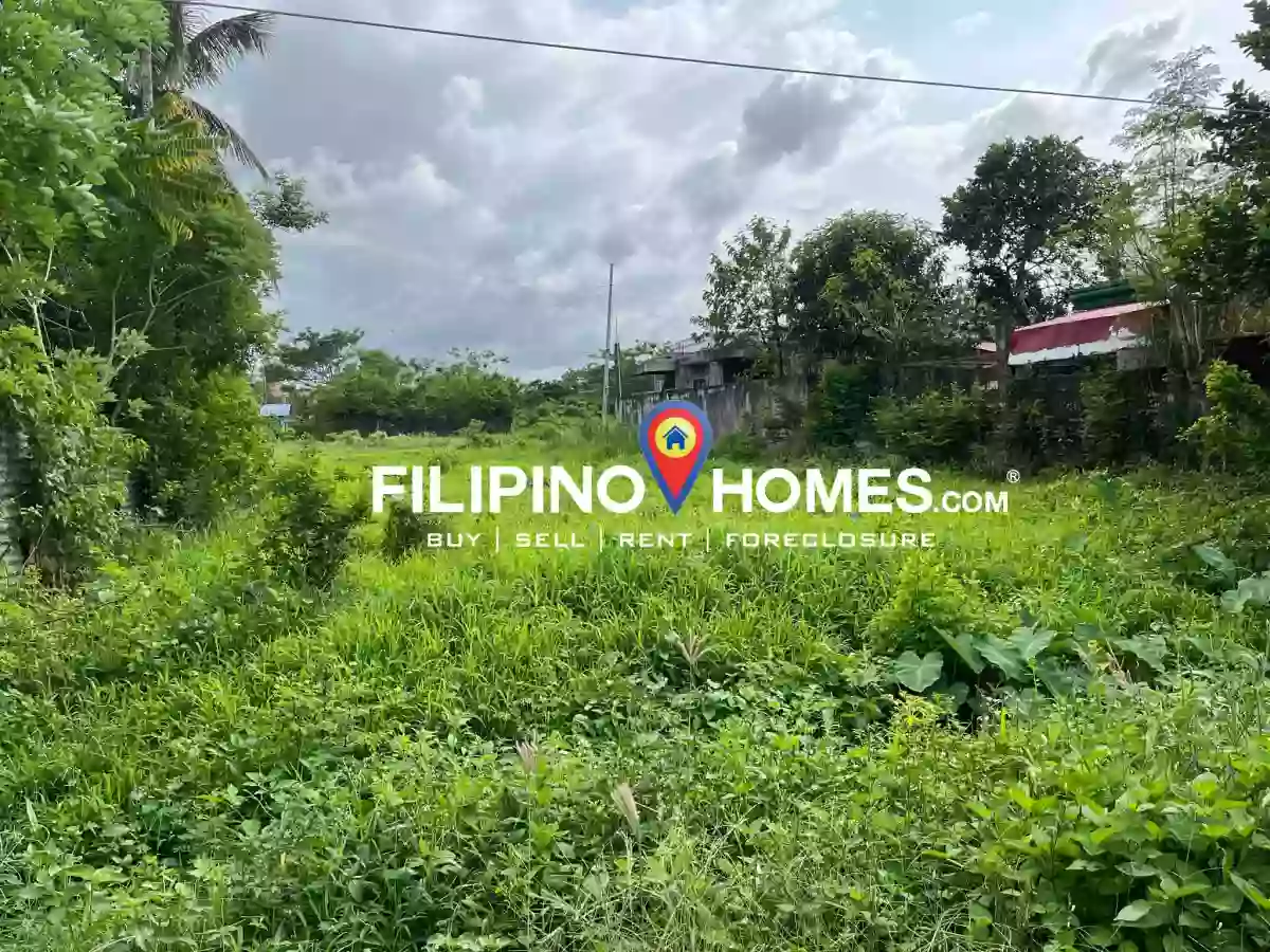 Modern Village Raw Lot — Agricultural Lot in San Jose, Pili, Camarines Sur — Photo 4