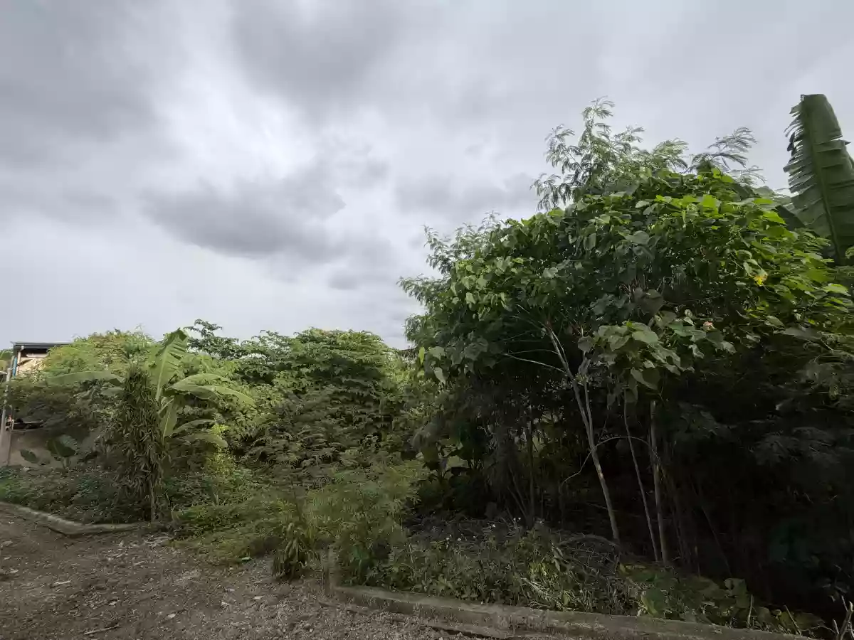 Subdivision lot for sale in Banawa Cebu City — Residential Lot in R. Arcenas Street, Cebu City, Cebu — Photo 2