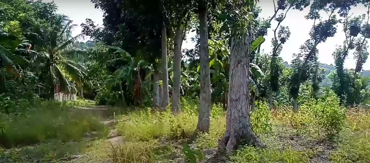 RESIDENTIAL LOT FOR SALE — Residential Lot in Iligan City, Lanao del Norte, 9200 — Photo 3