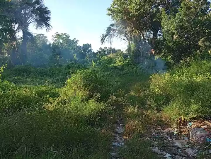 Lot for Sale at Guinsay. Danao City — Agricultural Lot in Unnamed Road, Danao City, Cebu — Photo 4
