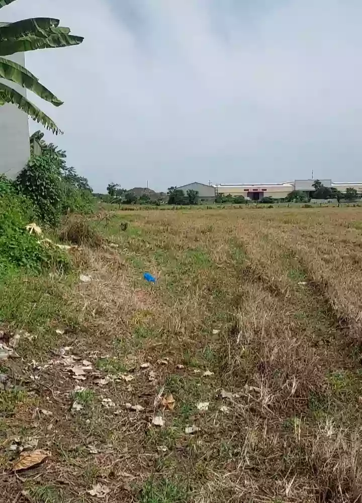 circumferential Road Tacas Jaro — Agricultural Lot in Iloilo, Philippines — Photo 4