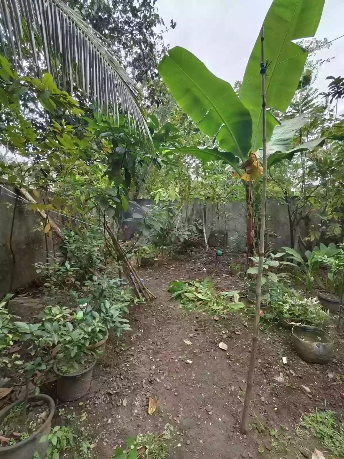 FOR SALE: PARKVIEW EXECUTIVE HOMES — Residential Lot in Barangay San Felipe, Naga, Camarines Sur — Photo 4