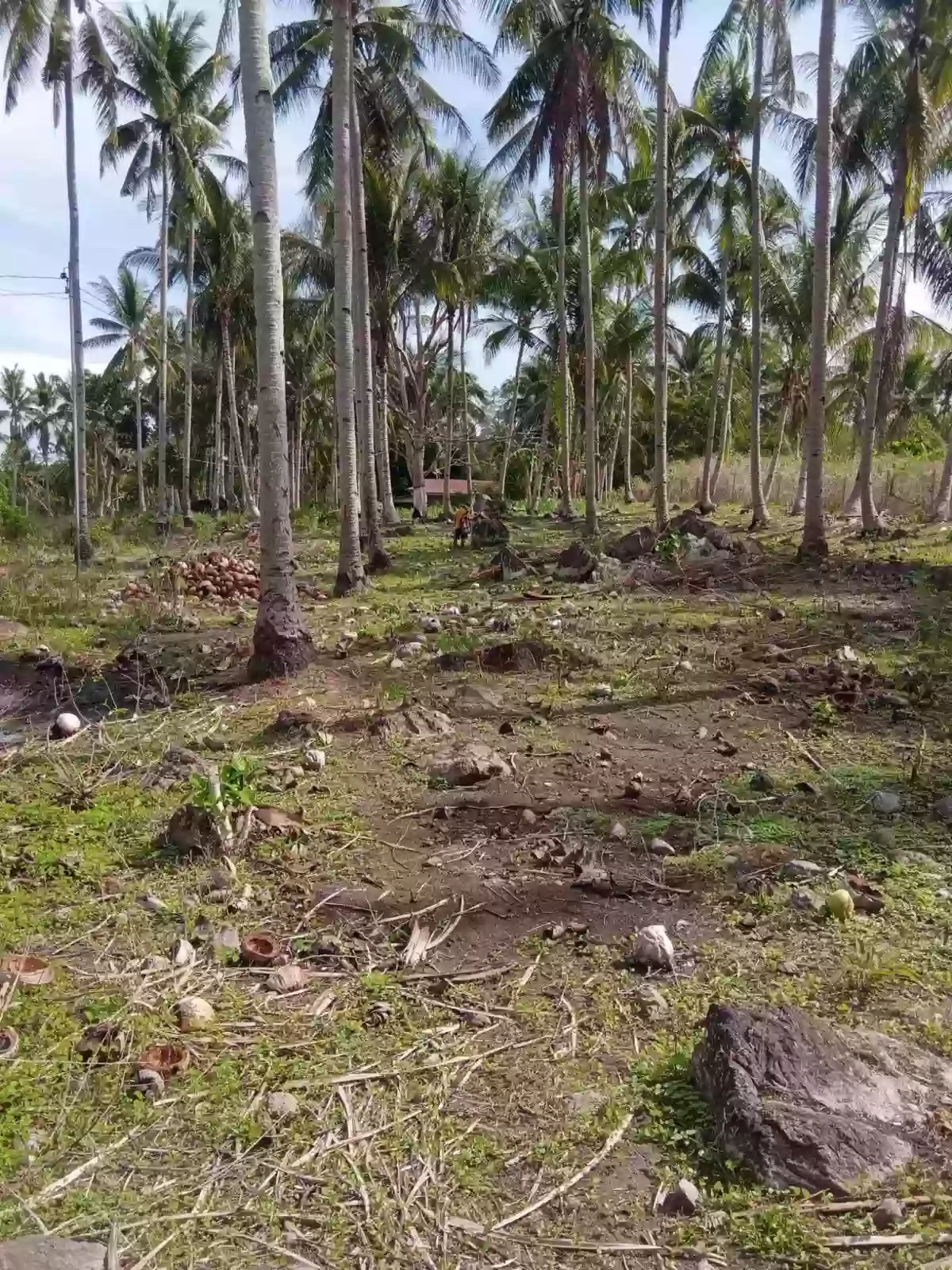 Lot for Sale — Residential Lot in Dauin, Negros Oriental, Philippines — Photo 4