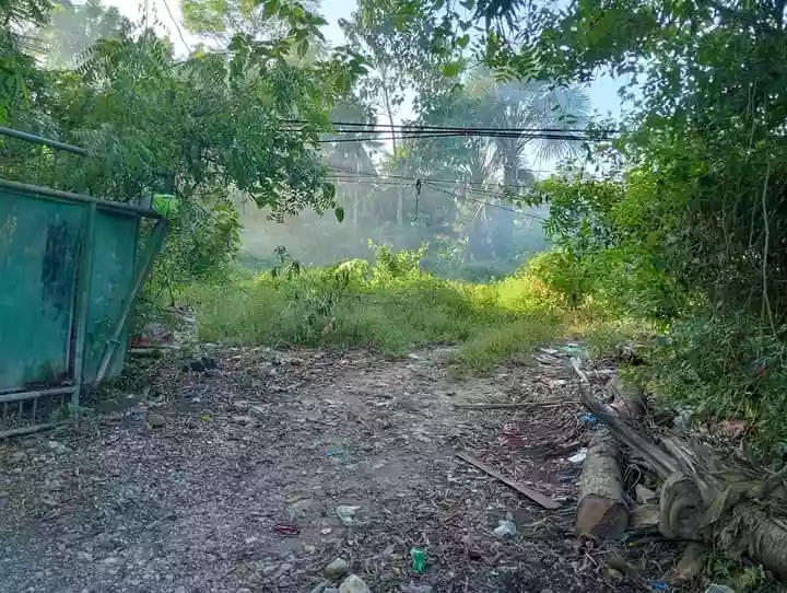 Lot for Sale at Guinsay. Danao City — Agricultural Lot in Unnamed Road, Danao City, Cebu — Photo 3