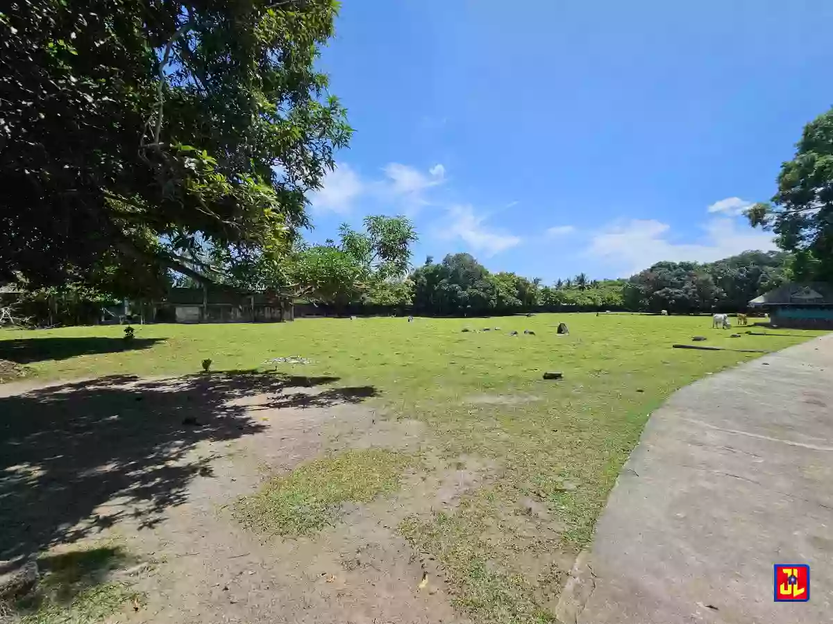 Rush Sale 13,431sqm Amazing Commercial Lot Along National Highway Talay, Dumaguete [available]
